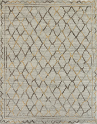 Ancient Boundaries Tunis TUN-09 Natural / Browns Area Rug Main Image