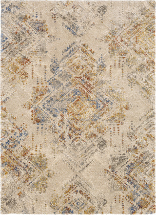 Surya Tuscany TUS-2302 Area Rug main image