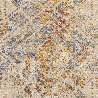 Surya Tuscany TUS-2302 Area Rug Close Up