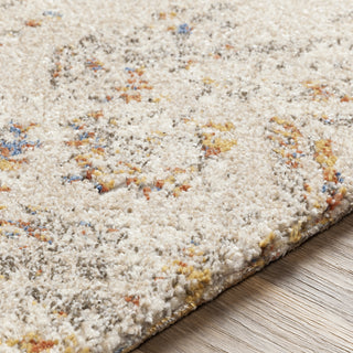 Surya Tuscany TUS-2302 Area Rug Pile