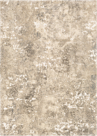 Surya Tuscany TUS-2304 Area Rug main image