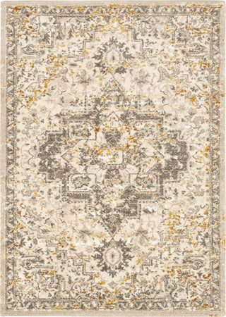 Surya Tuscany TUS-2307 Area Rug main image