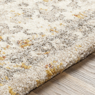 Surya Tuscany TUS-2307 Area Rug Pile