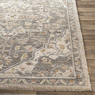 Surya Tuscany TUS-2308 Area Rug Corner 