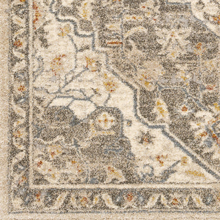 Surya Tuscany TUS-2308 Area Rug Close Up