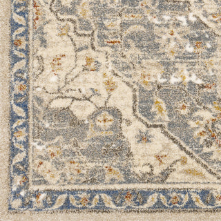 Surya Tuscany TUS-2309 Area Rug Close Up