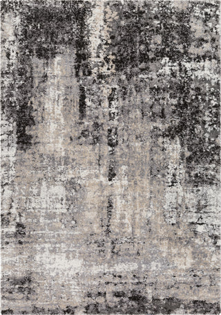 Surya Tuscany TUS-2312 Area Rug Main Image