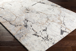 Surya Tuscany TUS-2314 Area Rug Corner