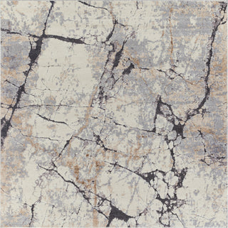 Surya Tuscany TUS-2314 Area Rug Sample