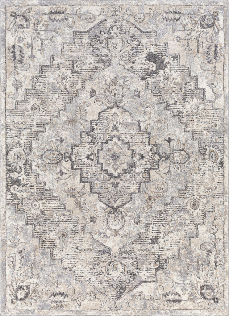 Surya Tuscany TUS-2321 Area Rug main image