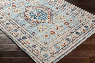 Surya Tevazu TVZ-2302 Area Rug Corner Shot