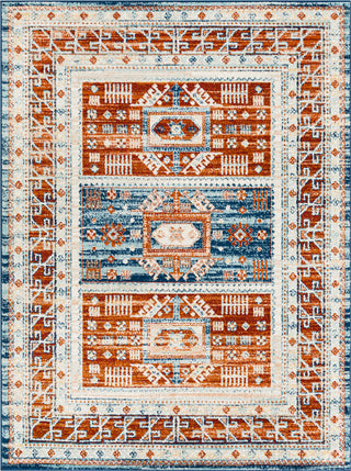 Surya Tevazu TVZ-2304 Area Rug main image