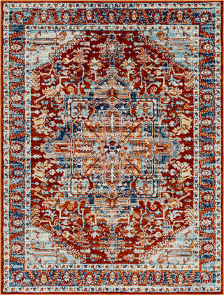 Surya Tevazu TVZ-2307 Area Rug main image