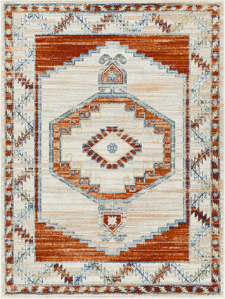 Surya Tevazu TVZ-2313 Area Rug main image