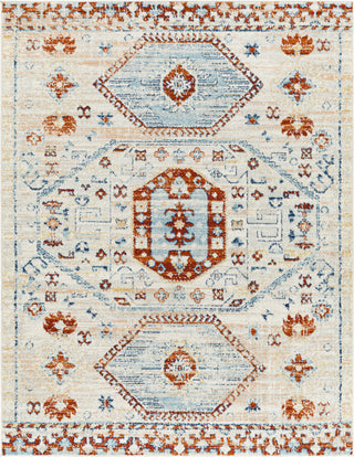 Surya Tevazu TVZ-2316 Area Rug main image