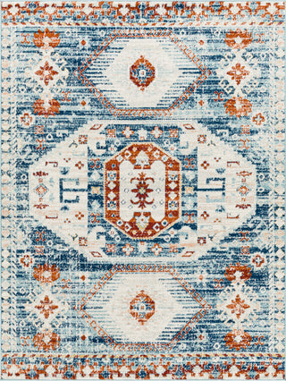 Surya Tevazu TVZ-2317 Area Rug main image