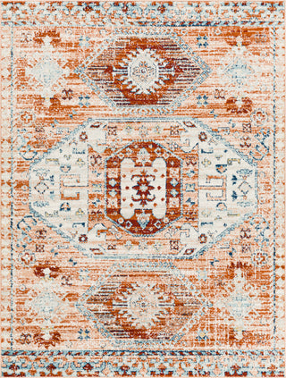 Surya Tevazu TVZ-2318 Area Rug main image