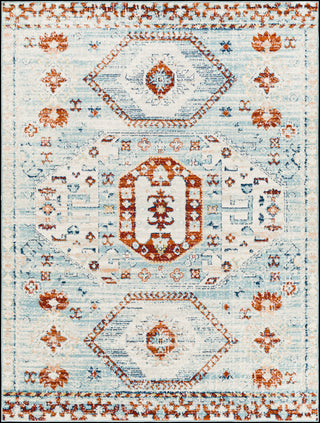 Surya Tevazu TVZ-2319 Area Rug main image