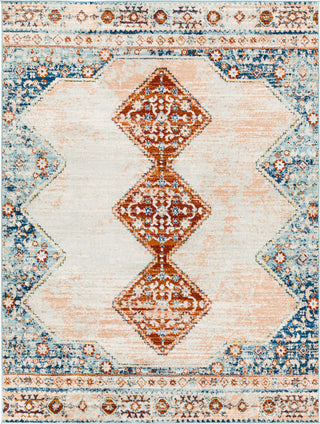 Surya Tevazu TVZ-2320 Area Rug main image