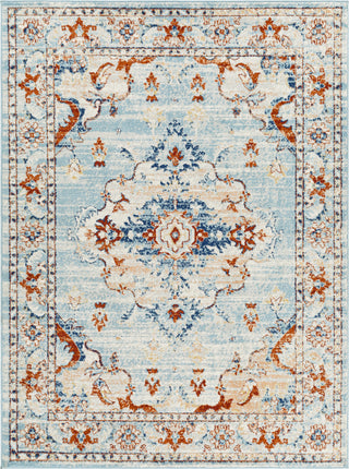 Surya Tevazu TVZ-2326 Area Rug main image