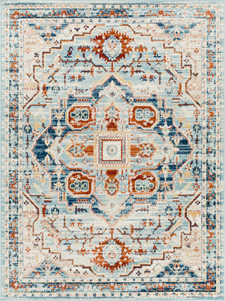 Surya Tevazu TVZ-2329 Area Rug main image