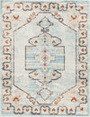 Surya Tevazu TVZ-2330 Area Rug main image