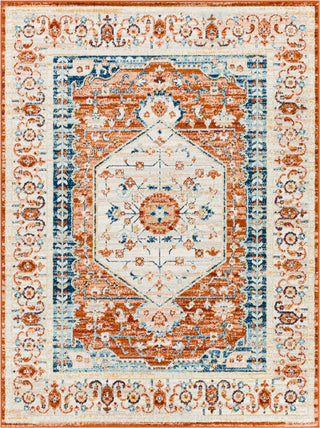 Surya Tevazu TVZ-2334 Area Rug main image