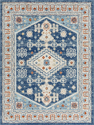 Surya Tevazu TVZ-2336 Area Rug main image