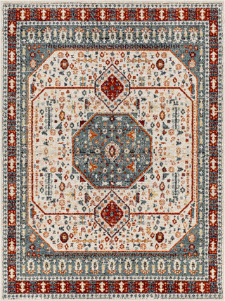 Surya Tevazu TVZ-2338 Area Rug main image