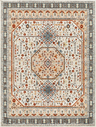 Surya Tevazu TVZ-2339 Area Rug main image