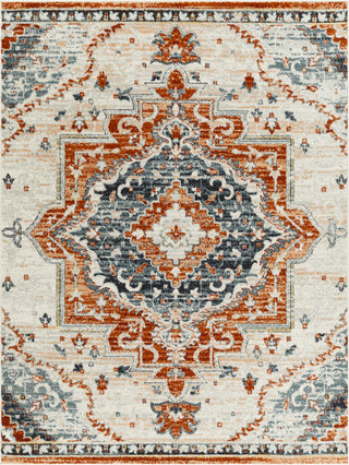 Surya Tevazu TVZ-2343 Area Rug main image