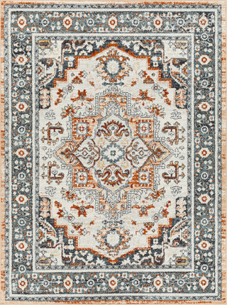 Surya Tevazu TVZ-2346 Area Rug main image