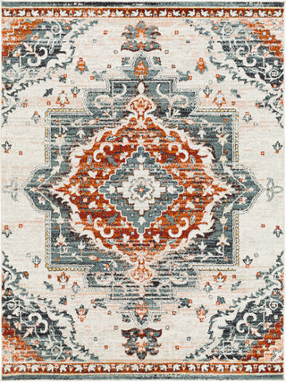 Surya Tevazu TVZ-2352 Area Rug main image