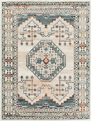 Surya Tevazu TVZ-2353 Area Rug main image