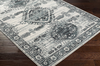 Surya Tevazu TVZ-2364 Area Rug Corner Shot