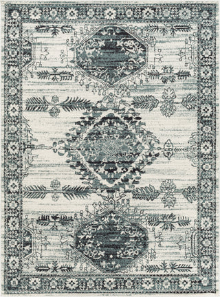 Surya Tevazu TVZ-2364 Area Rug main image