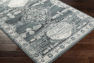 Surya Tevazu TVZ-2366 Area Rug Corner Shot