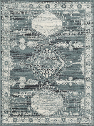 Surya Tevazu TVZ-2366 Area Rug main image