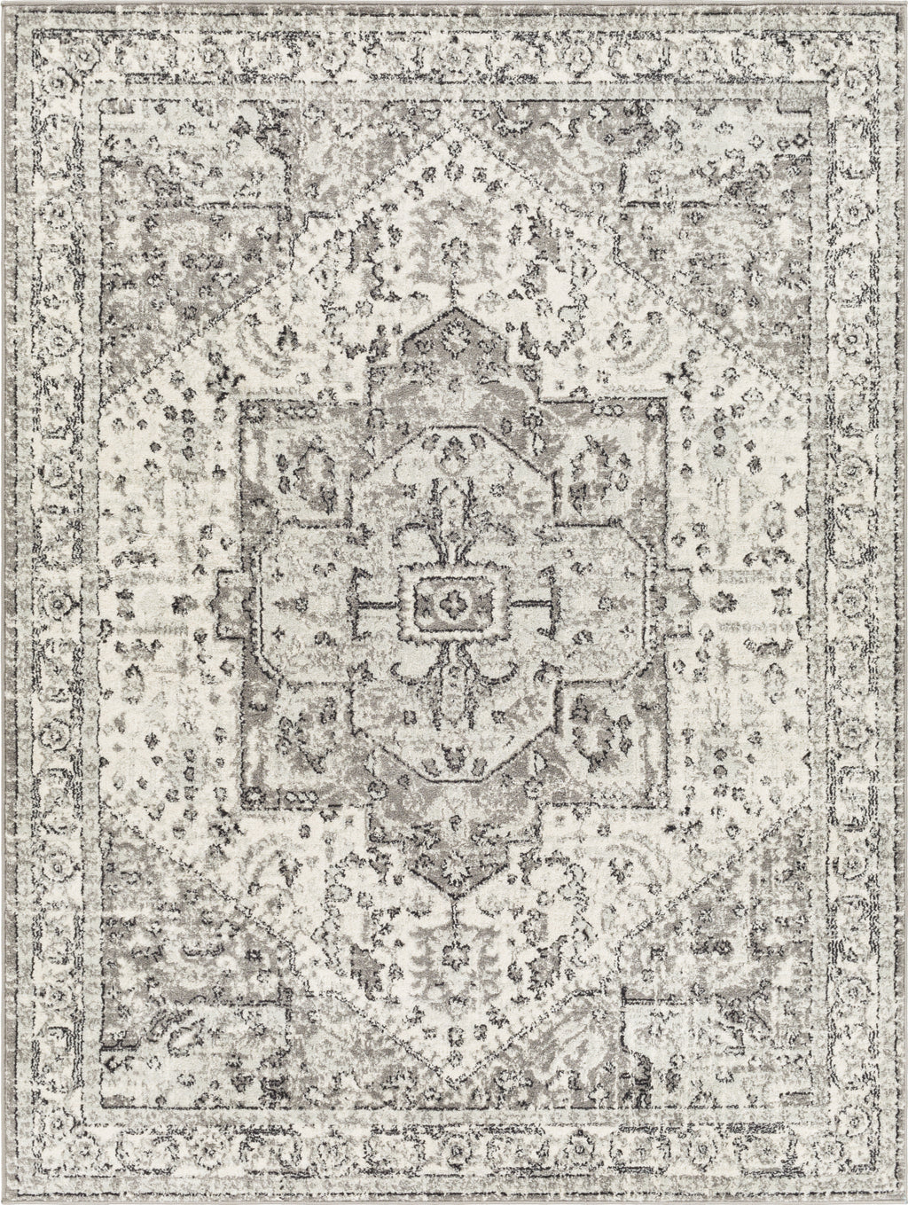 Surya Tevazu TVZ-2370 Area Rug main image