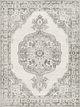 Surya Tevazu TVZ-2371 Area Rug main image