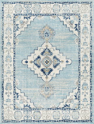 Surya Tevazu TVZ-2373 Area Rug main image