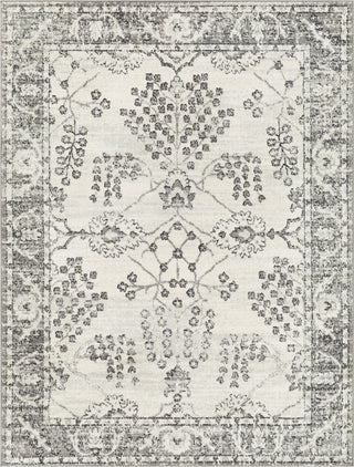 Surya Tevazu TVZ-2374 Area Rug main image