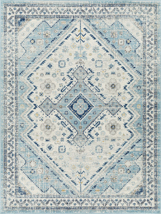 Surya Tevazu TVZ-2375 Area Rug main image