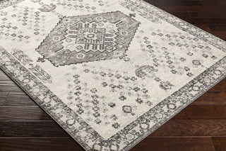 Surya Tevazu TVZ-2377 Area Rug Corner Shot