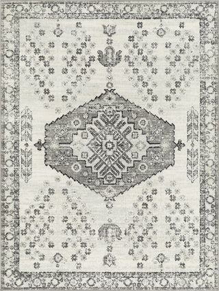 Surya Tevazu TVZ-2377 Area Rug main image