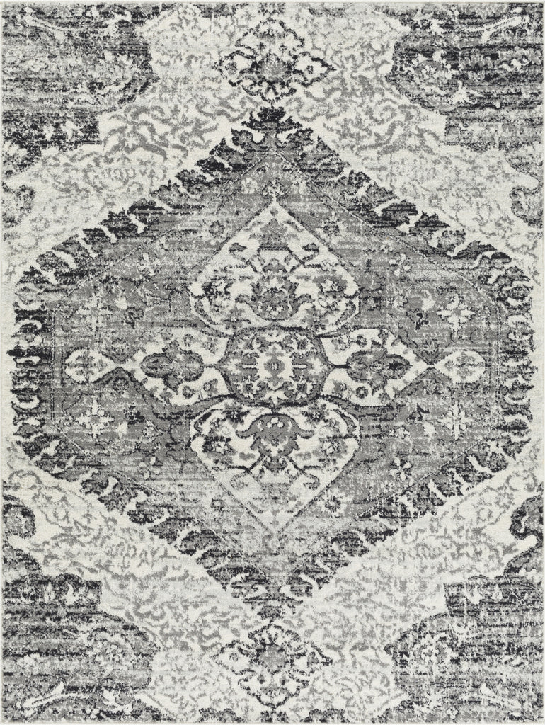 Surya Tevazu TVZ-2378 Area Rug main image