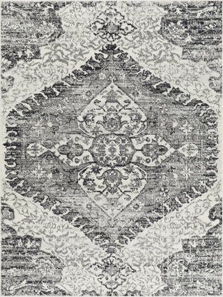 Surya Tevazu TVZ-2378 Area Rug main image