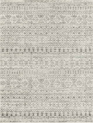 Surya Tevazu TVZ-2379 Area Rug main image