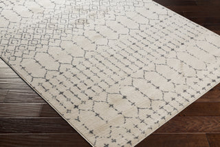 Surya Tevazu TVZ-2382 Area Rug Corner Shot