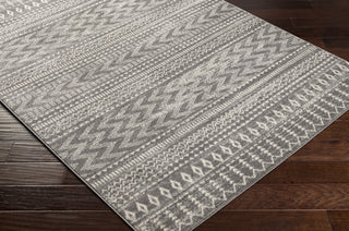 Surya Tevazu TVZ-2384 Area Rug Corner Shot